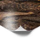 Collage Set von Gewürzen und Lebensmittelzutaten Fotodruck (Ecke)