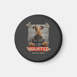 Collar Fraudster Magnet
