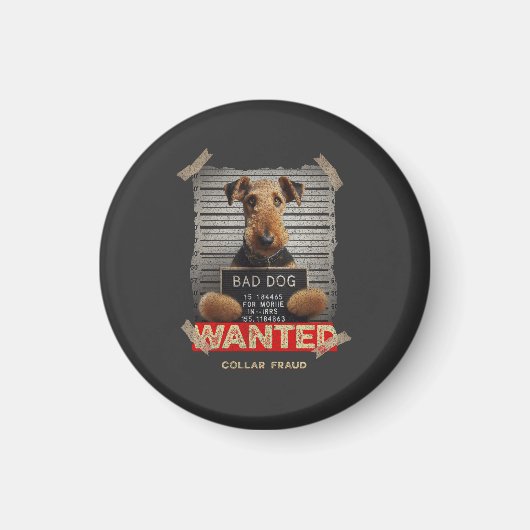 Collar Fraudster Magnet (Vorne)