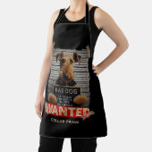 Collar Fraudster Schürze (InSitu)