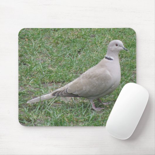 Collared Dove Mousepad (Mit Mouse)