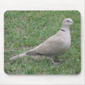 Collared Dove Mousepad (Vorne)