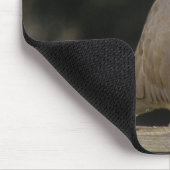 Collared Dove Mousepad (Ecke)