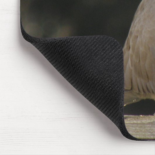 Collared Dove Mousepad (Ecke)