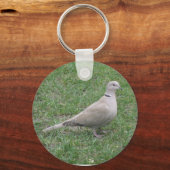 Collared Dove Schlüsselanhänger (Vorderseite)