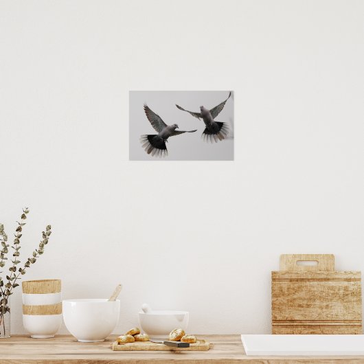 Collared Doves Poster (Küche)