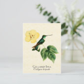 Collared Inca Hummingbird Art Postkarte (Stehend Vorderseite)