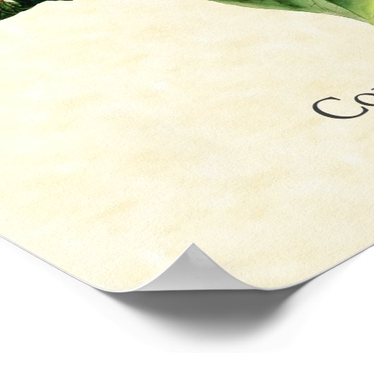 Collared Inca Hummingbird Art Print Poster (Ecke)