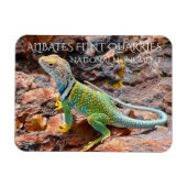 Collared Lizard, Alibates Flint Quarries, Texas Magnet (Horizontal)