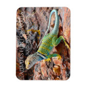 Collared Lizard, Alibates Flint Quarries, Texas Magnet (Vertikal)