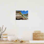 Collared Lizard bei Thompson Springs Poster (Küche)