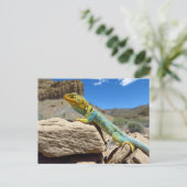 Collared Lizard bei Thompson Springs Postkarte (Stehend Vorderseite)