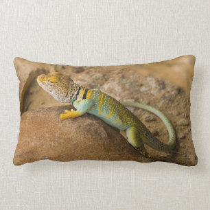 Collared Lizard Lendenkissen