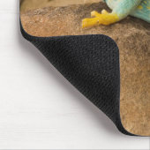 Collared Lizard Mousepad (Ecke)