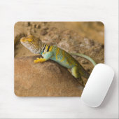 Collared Lizard Mousepad (Mit Mouse)