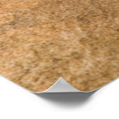 Collared Lizard Poster (Ecke)