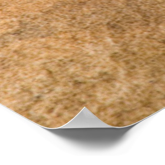 Collared Lizard Poster (Ecke)