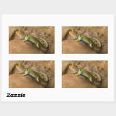 Collared Lizard Rechteckiger Aufkleber (Blatt)