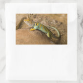 Collared Lizard Rechteckiger Aufkleber (Tasche)