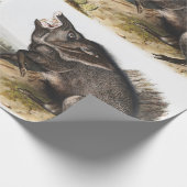 Collared Peccary Dycoteles torquatus Illustration Geschenkpapier (Ecke)