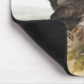 Collared Peccary Dycoteles torquatus Illustration Mousepad (Ecke)
