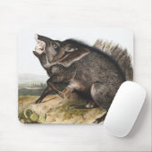 Collared Peccary Dycoteles torquatus Illustration Mousepad (Mit Mouse)