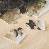 Collared Peccary Dycoteles torquatus Illustration Puzzle (Seite)