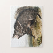 Collared Peccary Dycoteles torquatus Illustration Puzzle (Vertikal)