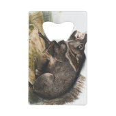 Collared Peccary Pig Camping Deco Gifts Geldbeutel Flaschenöffner (Vorderseite)