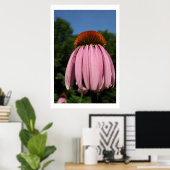 Collassal Echinacea Poster (Heimbüro)