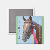 Collectiable Magnet Series - Just Plan Partners (Vorderseite/Rückseite)