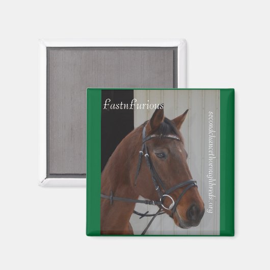 Collectible Magnet Series - FastnFurious (Vorderseite/Rückseite)