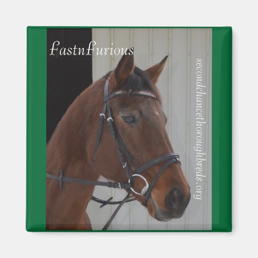 Collectible Magnet Series - FastnFurious (Vorne)