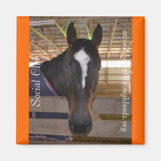 Collectible Magnet Series - Social Club