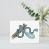 Collection Austrailian snake Post Card Postkarte (Stehend Vorderseite)