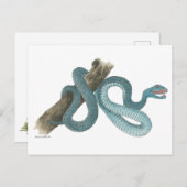 Collection Austrailian  snake Post Card Postkarte (Vorne/Hinten)