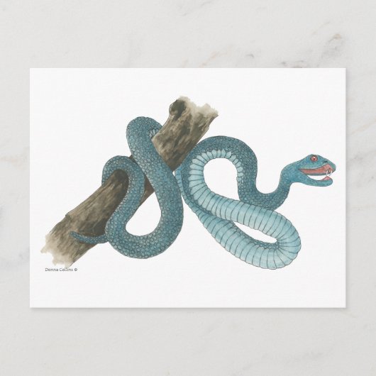 Collection Austrailian  snake Post Card Postkarte (Vorderseite)