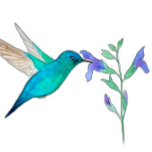 Robin's Egg Monogram Hummingbird Geschenkanhänger