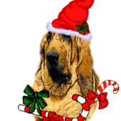 Weihnachtsgeschenke, AN: Runder Aufkleber