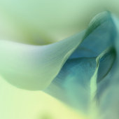 Romantische Blume in Blue Tones Hochzeitswein