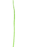 Rustikale Hochzeit Blaue Wildblumen RSVP Karte