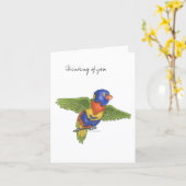 Collection Budgie Note Card Karte (Gelbe Blume)