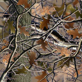Camouflage der Entenjagd, Geschenkpapier, Umschlag Geschenkpapier
