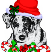 Catahoula Leopard Dog Weihnachten Geschenkpapier Set