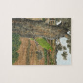 Collection Chip in eucalyptus tree Puzzle (Horizontal)