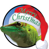 Christmas Gecko - Kids' Basic Hanes T - Shirt