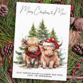 Adorable Highland Kuh Calf Frohe Weihnachten an MO