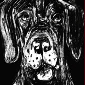 Great Dane Regal Pattern Geschenkpapier Set