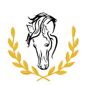 Elegant Equestrian Engagement Announcement Card Ankündigung