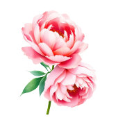 Elegant Green Floral Beverage Menu Acrylschild